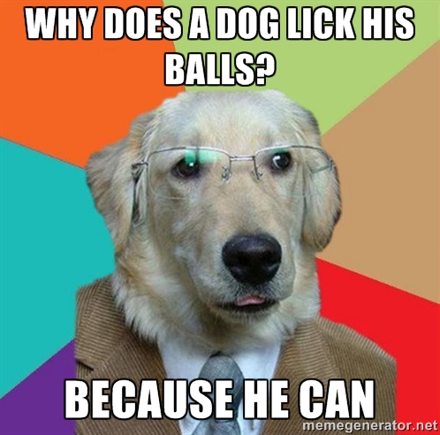doglickhisballs
